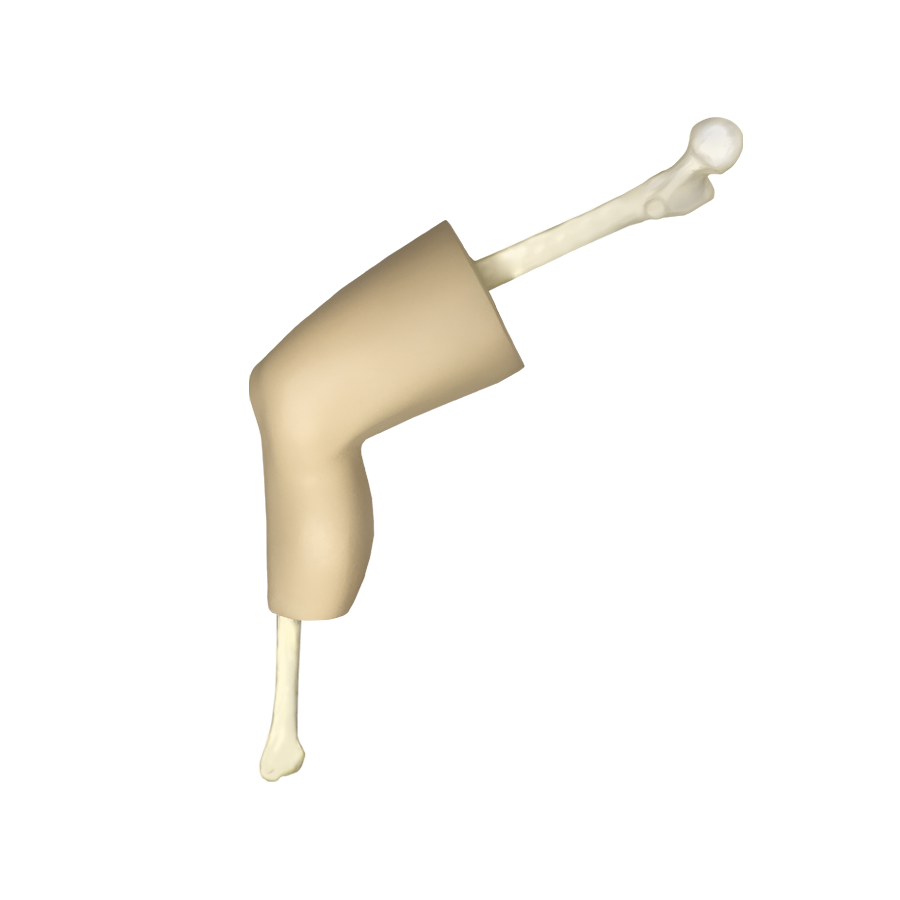 10585 - KNEE WITH SOFT TISSUE AND PATELLA