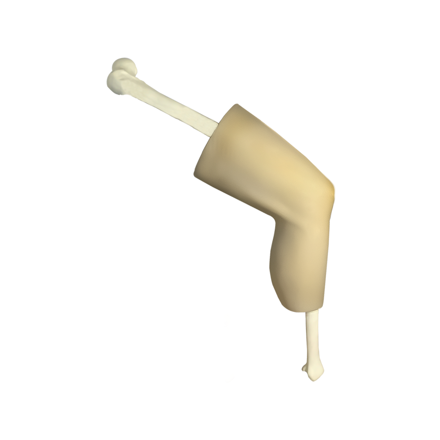 10585 - KNEE WITH SOFT TISSUE AND PATELLA