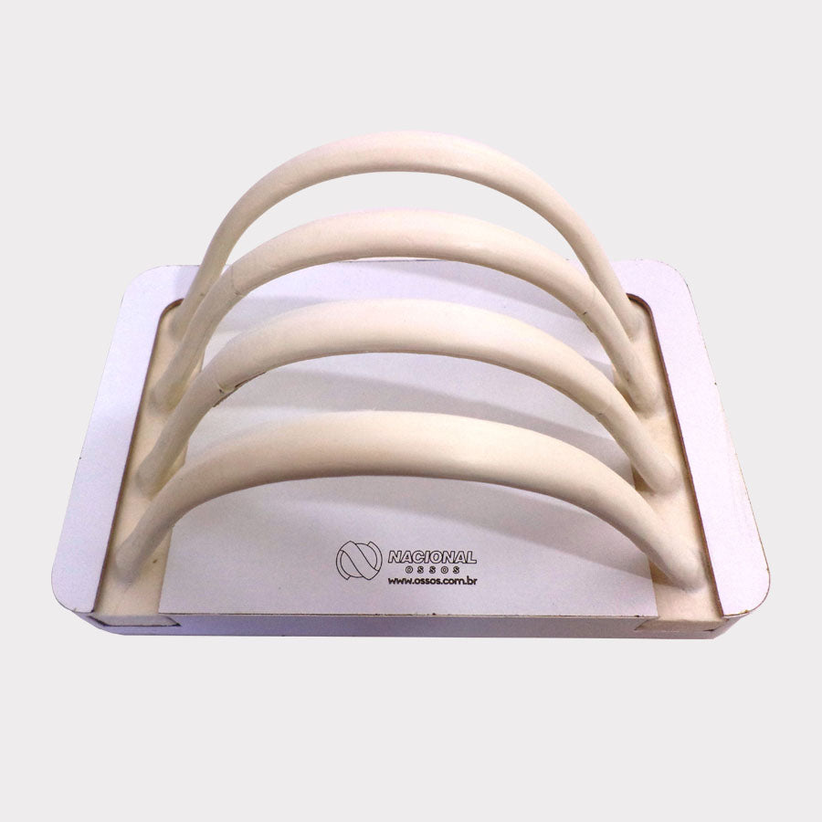 9982B - RIB STATEMENT WITH FRACTURE AND SUPPORT BASE