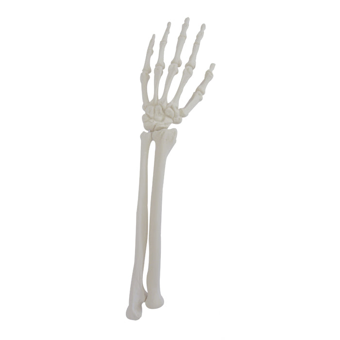 1012 - LEFT ARTICULATING WRIST
