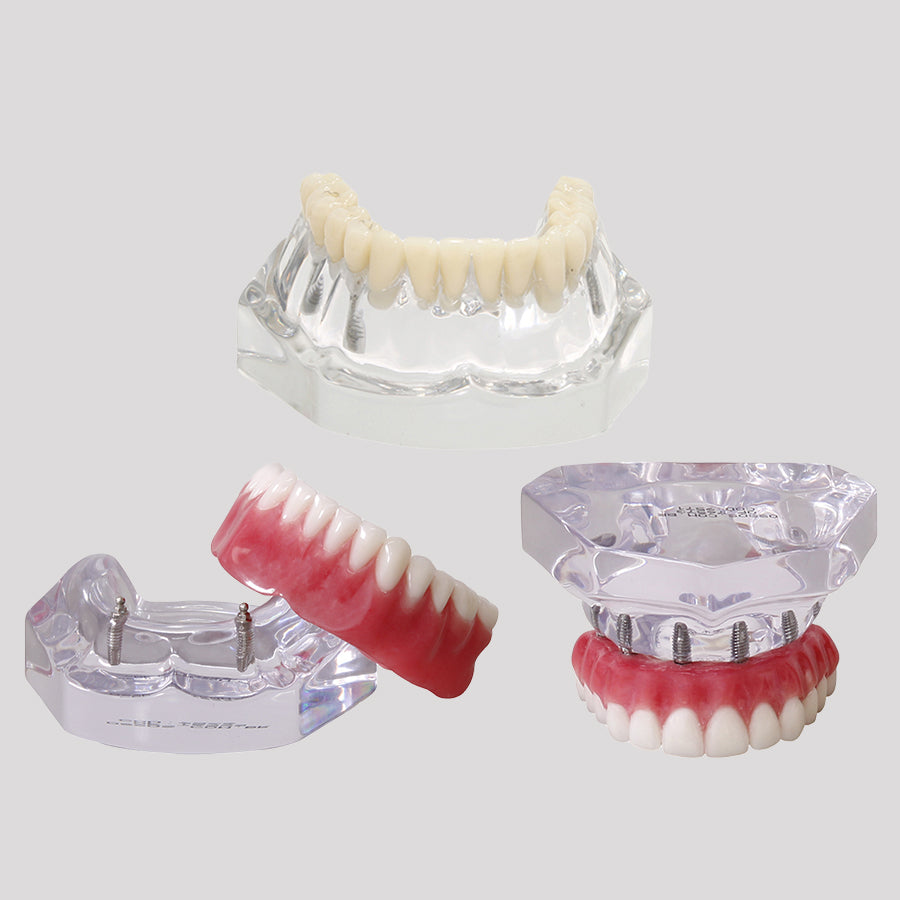 12644 - REHABILITATION MODELS KIT