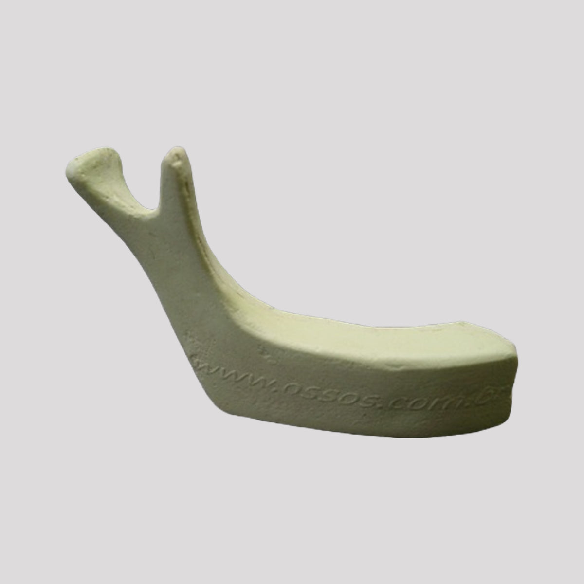 4010 P - EDENTULA RIGHT JAW HALF