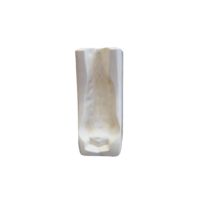 5018 - LUMBO-SACRUM HOLDER FOR WORKSHOP