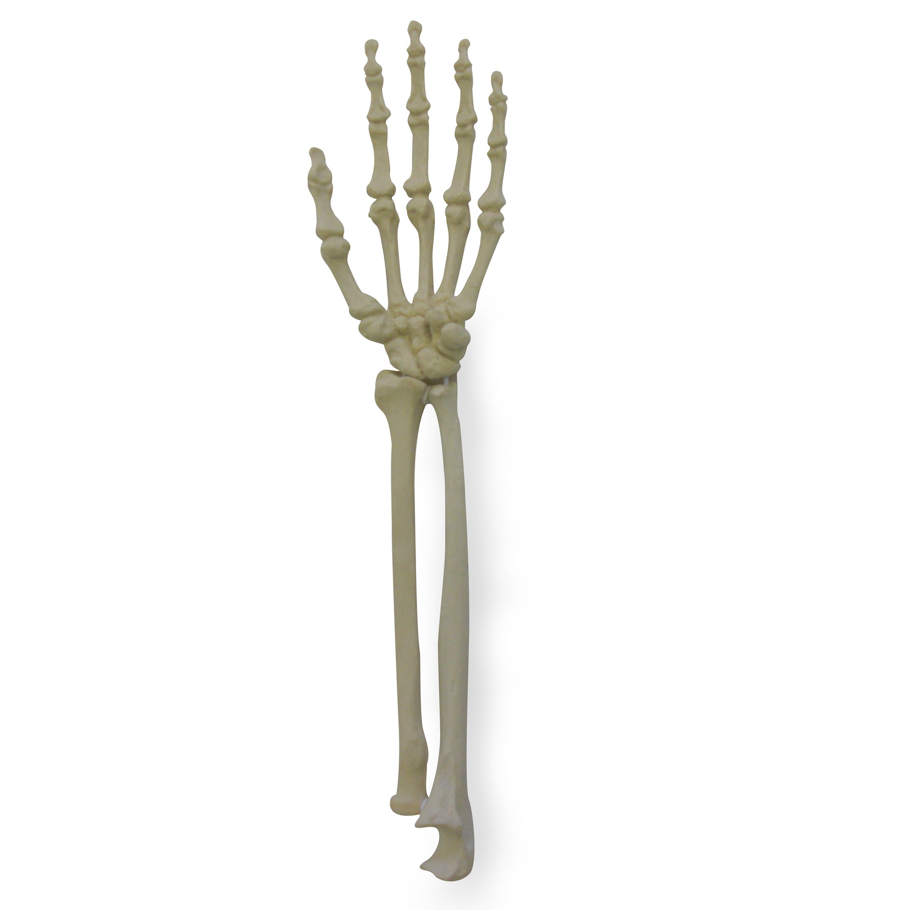 2012 - LEFT ARTICULATING WRIST
