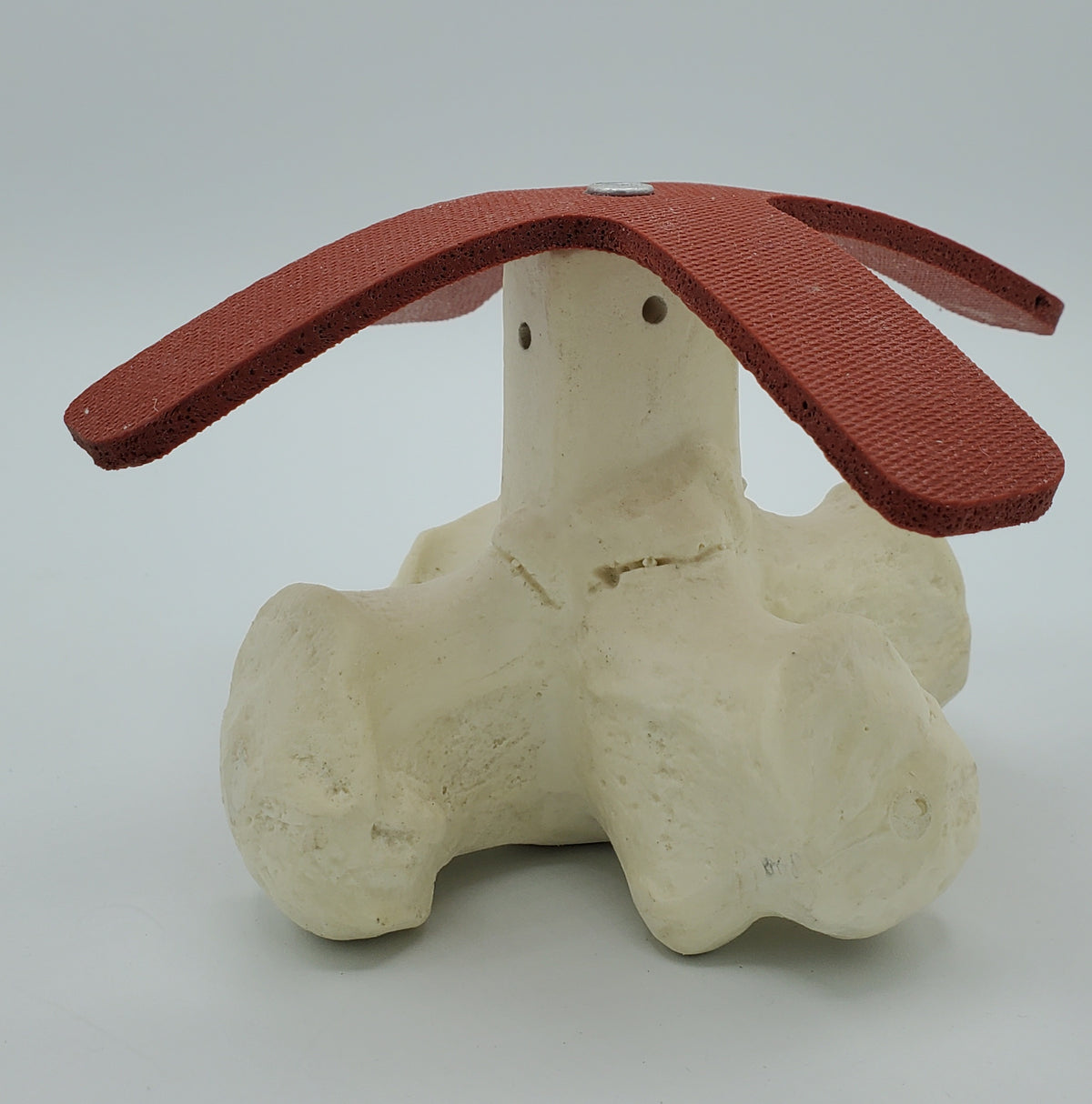 13521 - CALCVADER - Calcaneus Anchor Training Tool