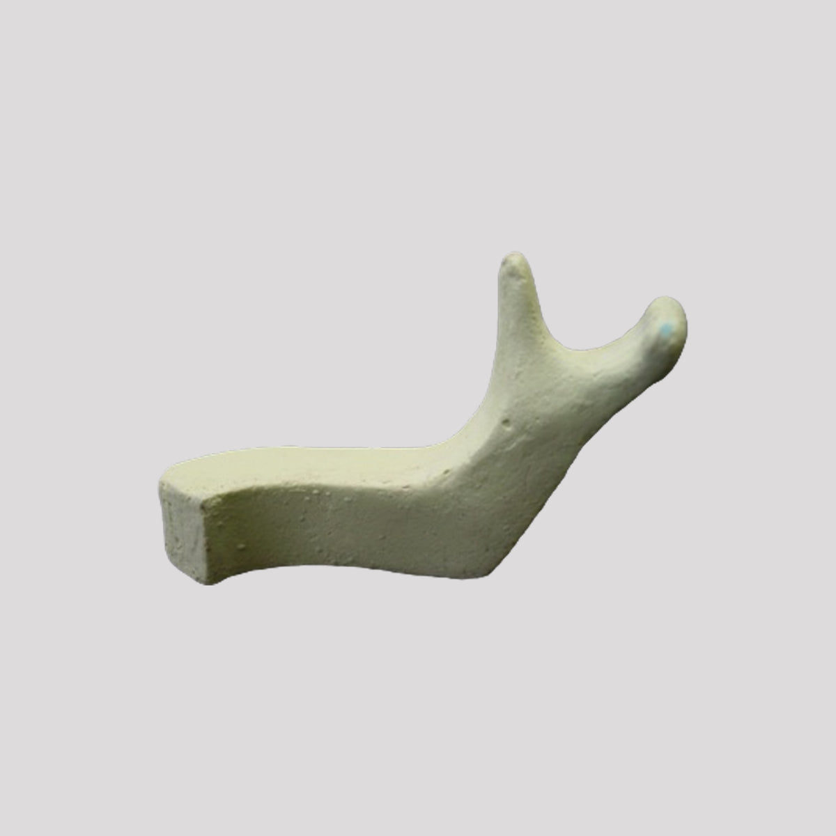 4010 P - EDENTULA RIGHT JAW HALF