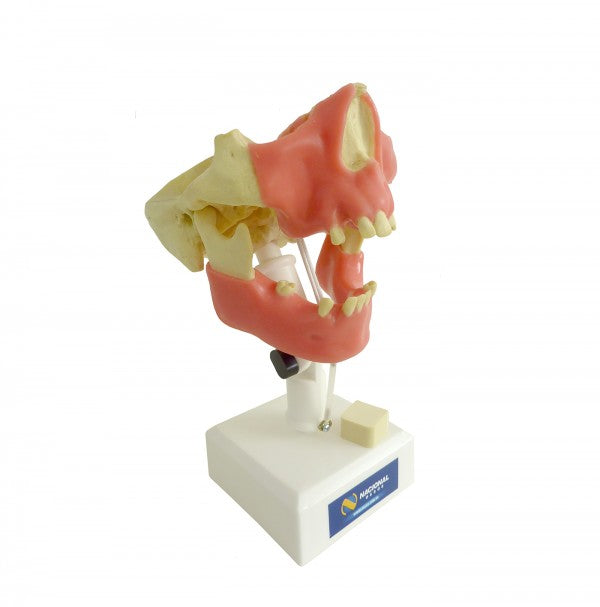 10982 - BASIC AND ADVANCED KIT