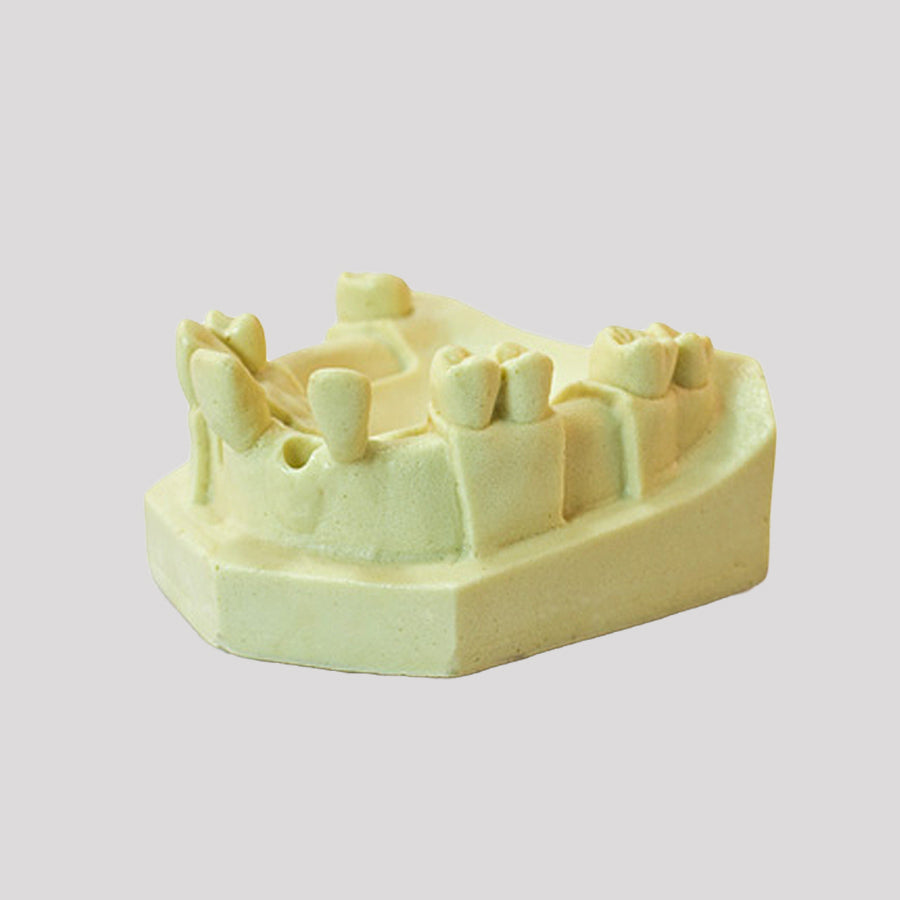 12309 - RADIOPAQUE MAXILLA WITH MISSING TEETH - SET 2