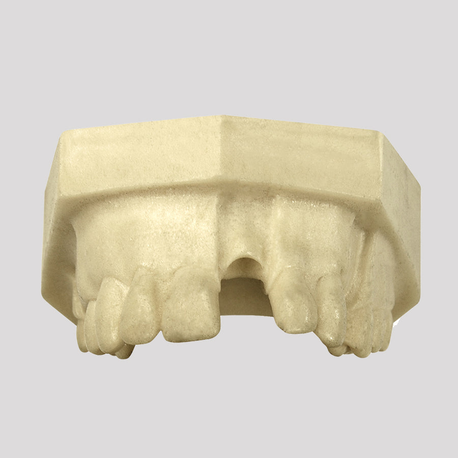 12309 - RADIOPAQUE MAXILLA WITH MISSING TEETH - SET 2