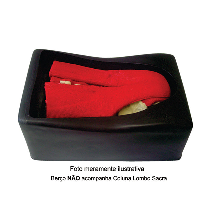 5018F - LUMBO-SACRUM WITH MUSCLES HOLDER FOR WORKSHOP