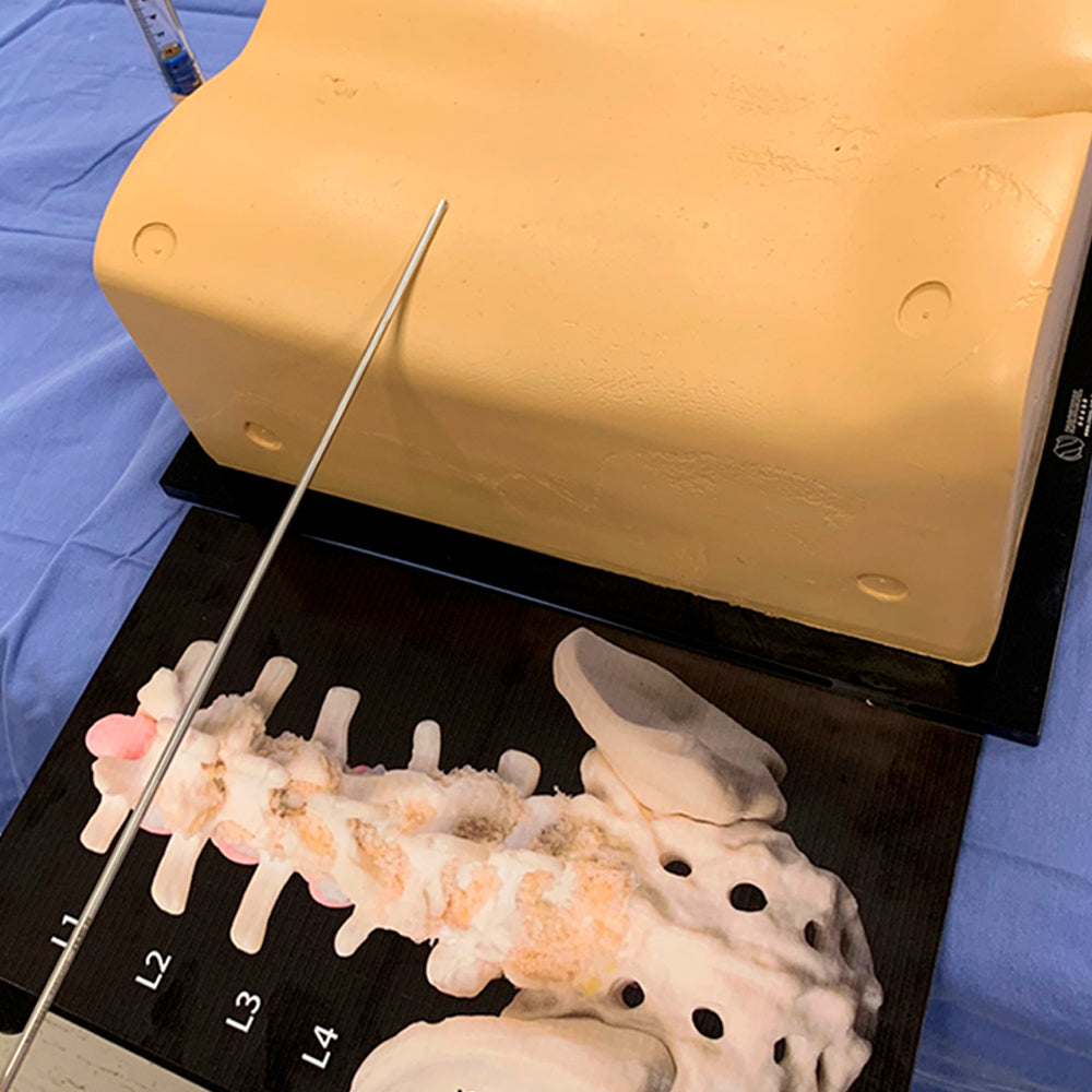 10476 - LUMBAR MODEL ESS