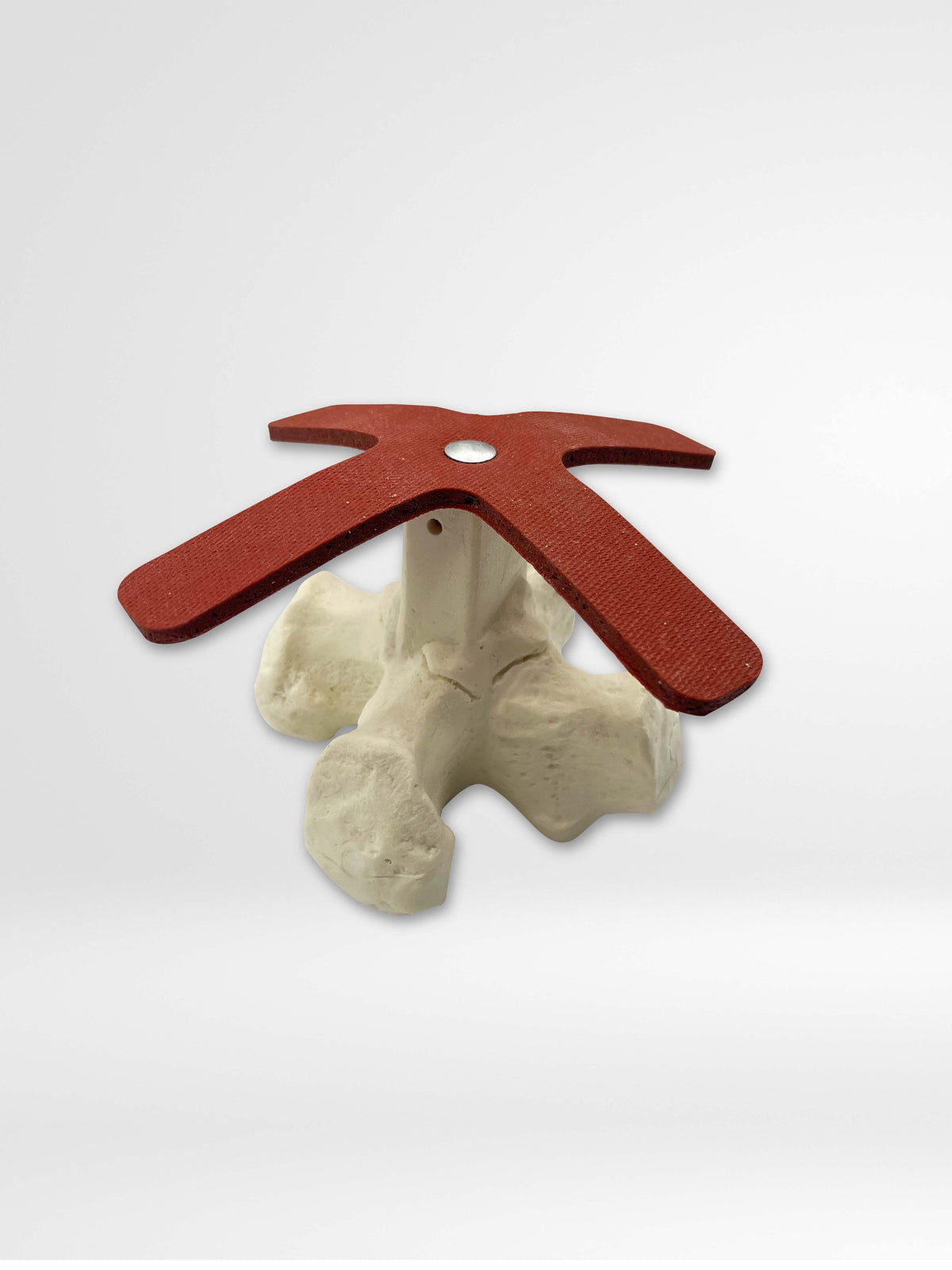 13521 - CALCVADER - Calcaneus Anchor Training Tool