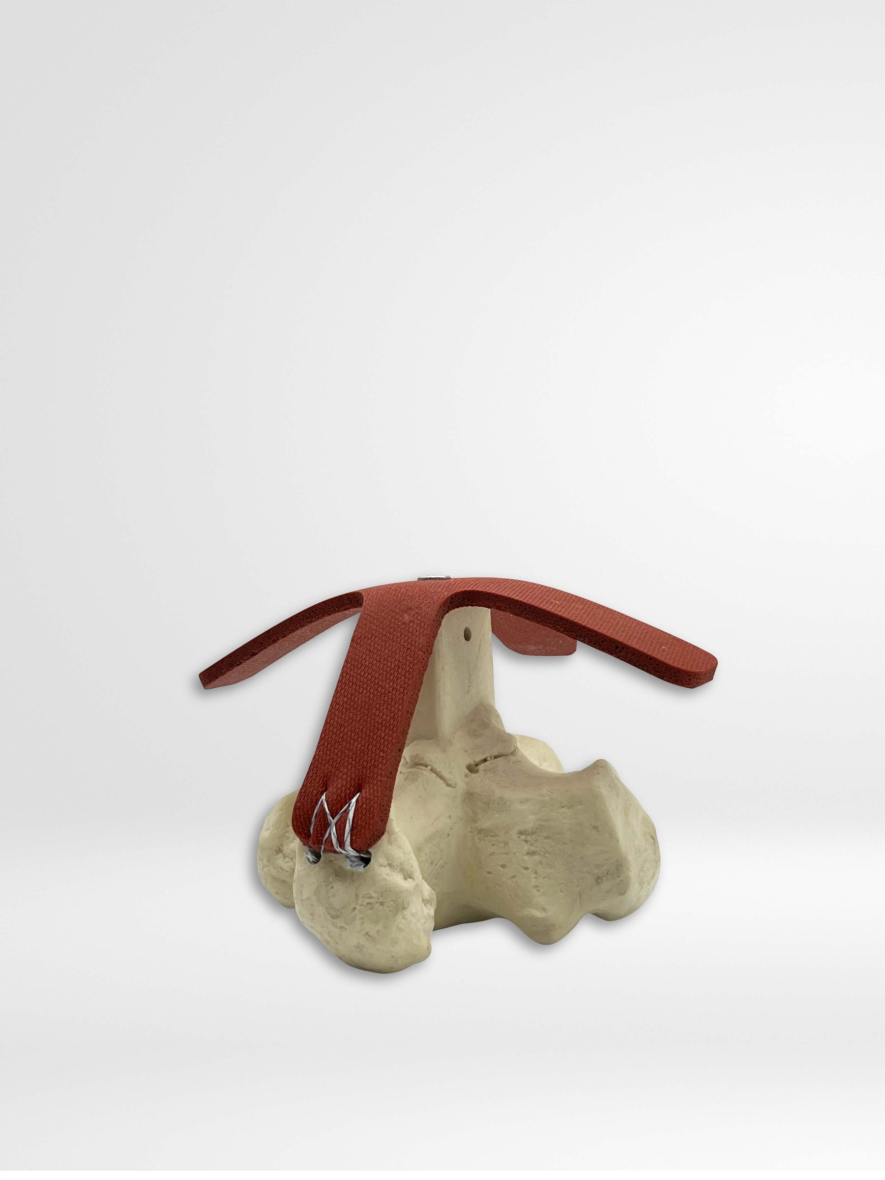 13521 - CALCVADER - Calcaneus Anchor Training Tool