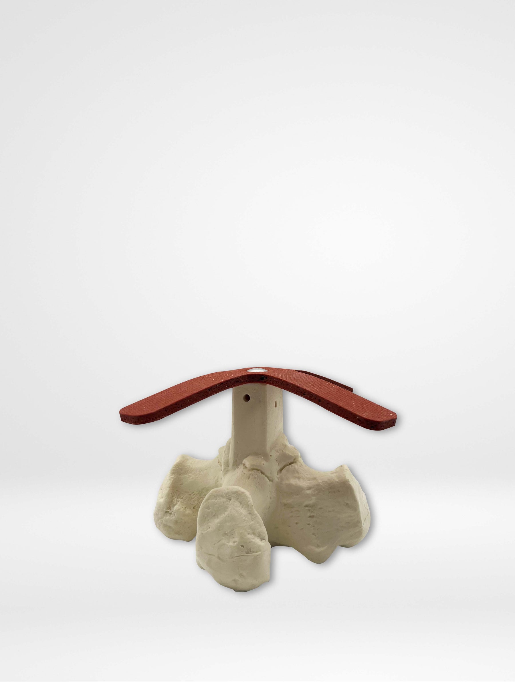 13521 - CALCVADER - Calcaneus Anchor Training Tool