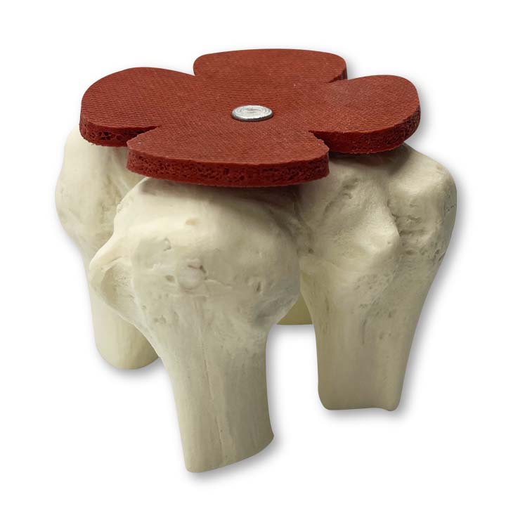 13520 - SHOLDYWAN - Anatomic Shoulder Anchor Trainer