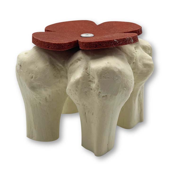 13520 - SHOLDYWAN - Anatomic Shoulder Anchor Trainer