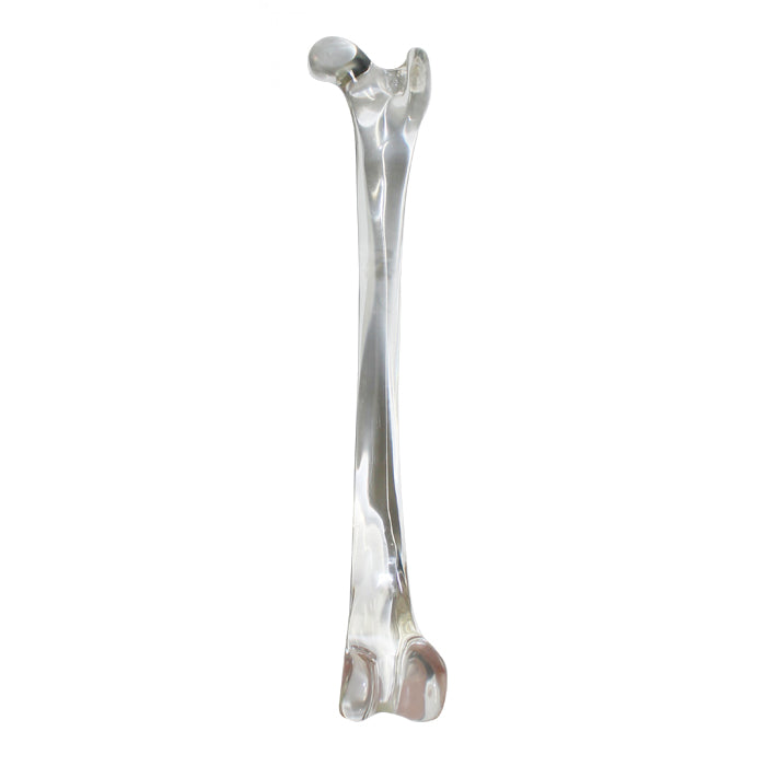 AV200 DA - RIGHT ACRYLIC FEMUR - BIG DOG
