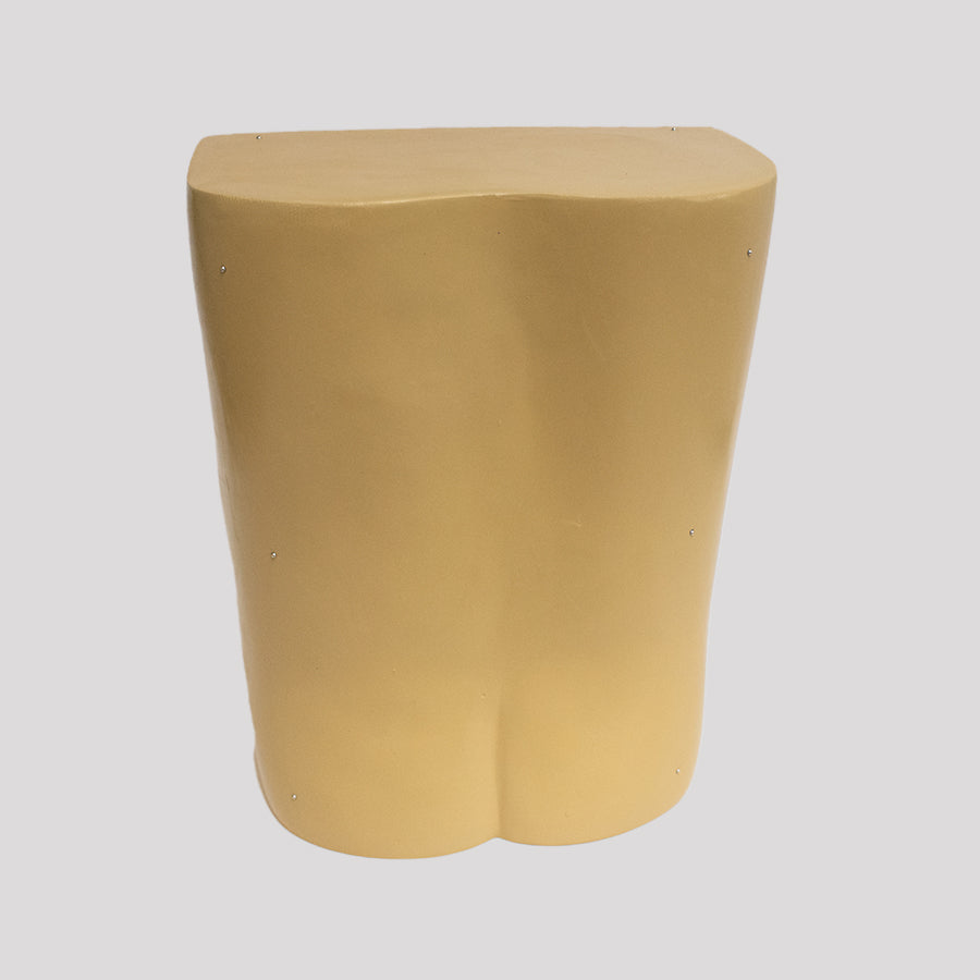 10476 - LUMBAR MODEL ESS
