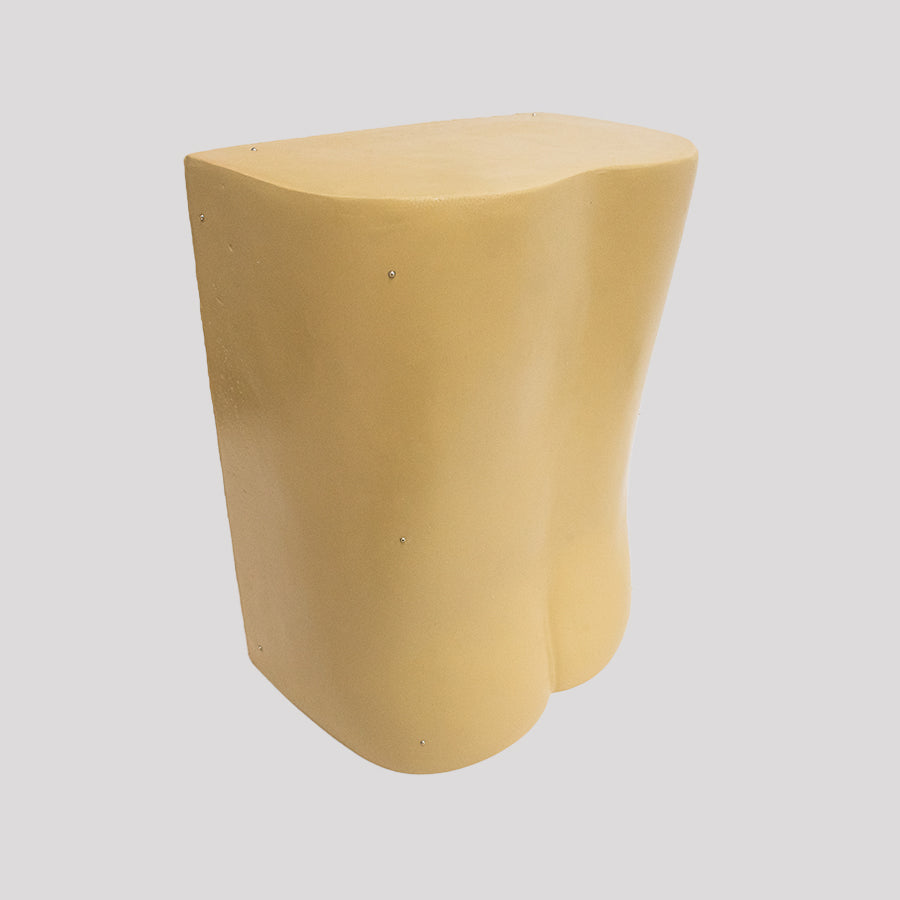 10476 - LUMBAR MODEL ESS