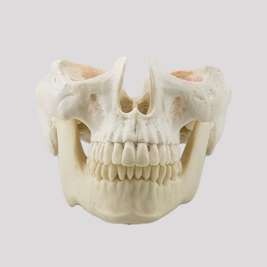 12791 -  CLASS II DUMMY