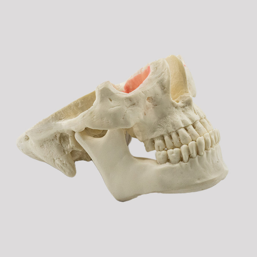 12790 - CLASS III DUMMY