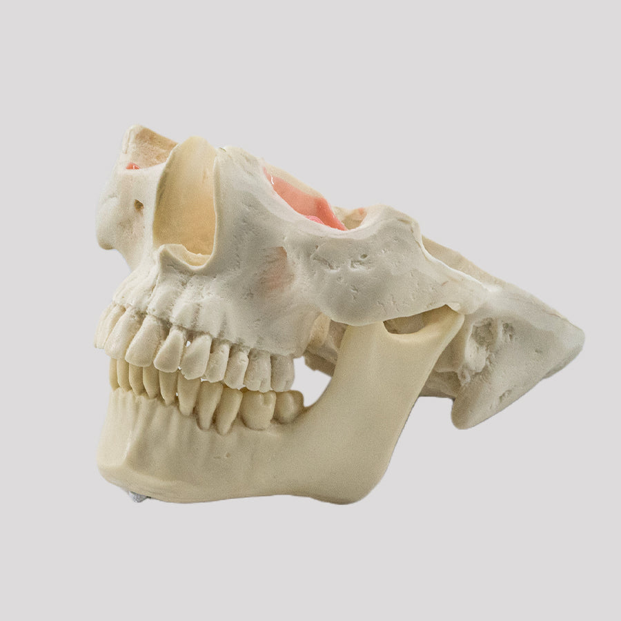 12791 -  CLASS II DUMMY