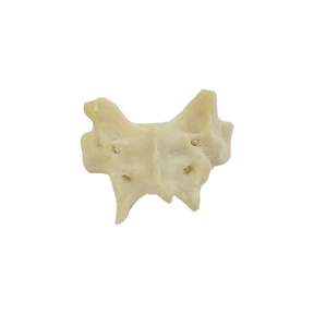 AV433 - SACRUM DOG