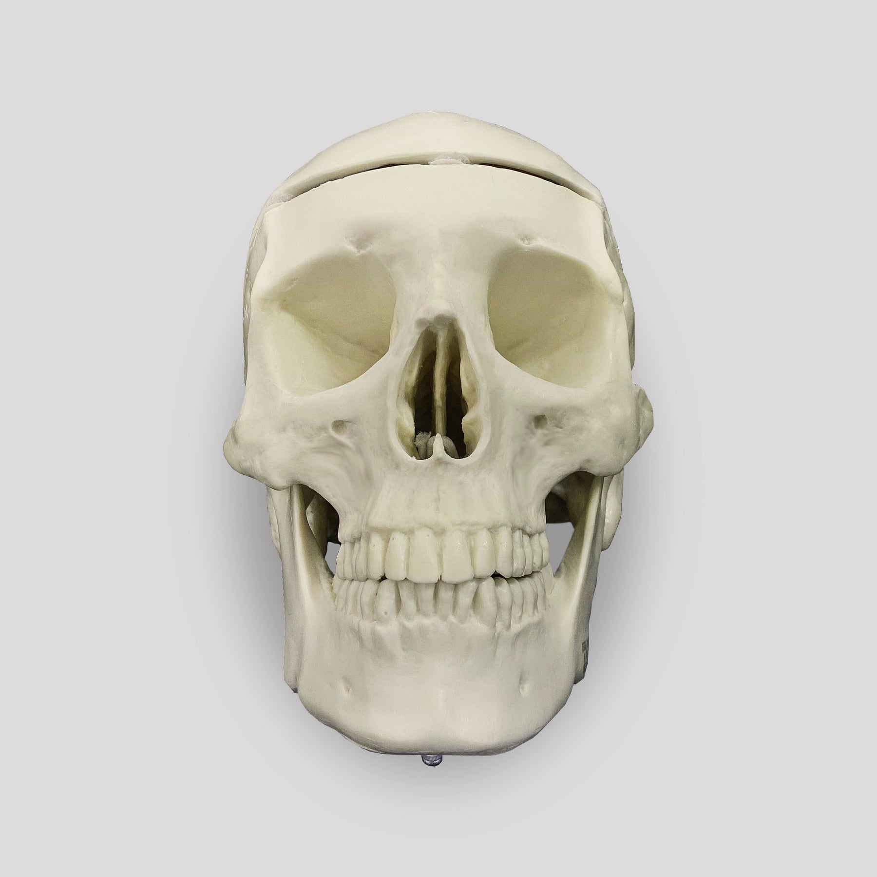 9001 - HOLLOW SKULL WITH REMOVABLE CAP