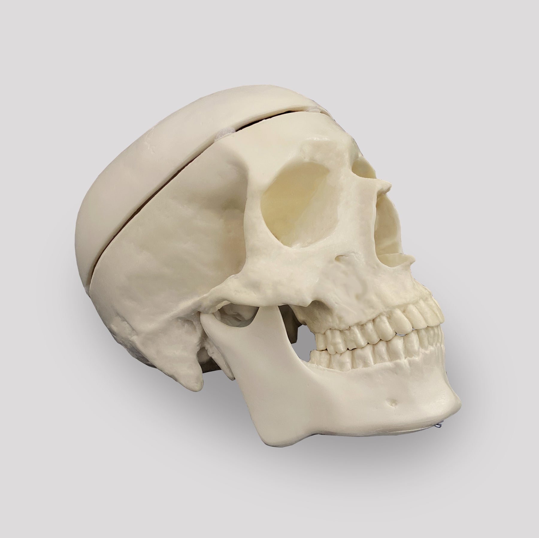 9001 - HOLLOW SKULL WITH REMOVABLE CAP