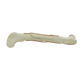 AV250 ESPF4 - SPONGY FEMUR WITH MULTIPLE LEFT FRACTURES - BIG DOG