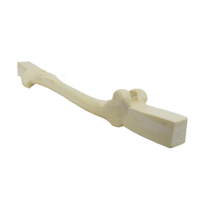 AV200 ESP-BA - SPONGY RIGHT FEMUR WITH BLOCK - BIG DOG