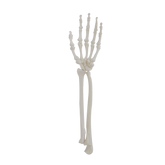 1012 - LEFT ARTICULATING WRIST