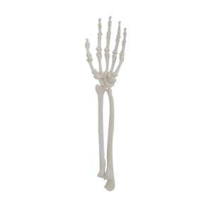 1012 - LEFT ARTICULATING WRIST