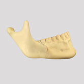 11976 - CONVENTIONAL SAGITAL OSTEOTOMY HEMI-JAW