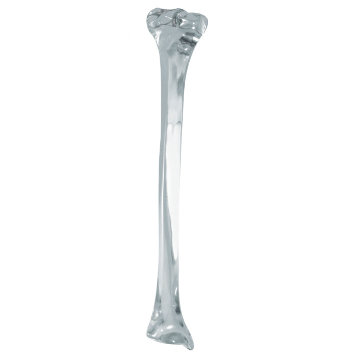 2026A - LEFT ACRYLIC TIBIA