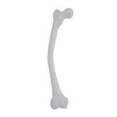 12417 - RIGHT FEMUR WITH DOUBLE-LEVEL MEDIAL ANTERIOR VARUS DEFORMITY