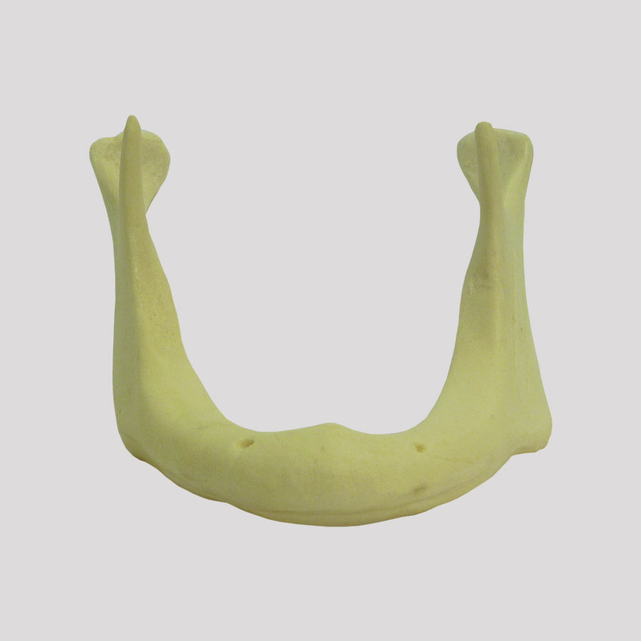 4010 AT - 01B - RADIOPAQUE ATROPHIC EDENTULOUS MANDIBLE CLASS I (20MM)