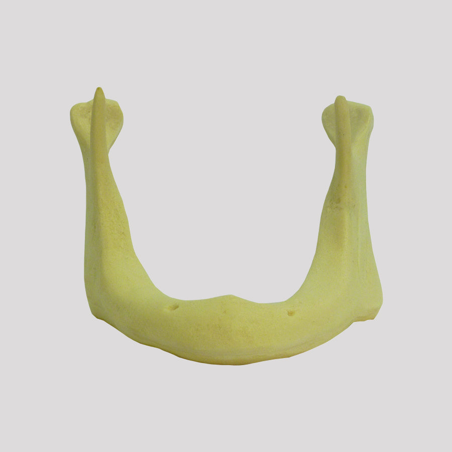 4010 AT - 02B - RADIOPAQUE ATROPHIC EDENTULOUS MANDIBLE CLASS 2 (15MM)