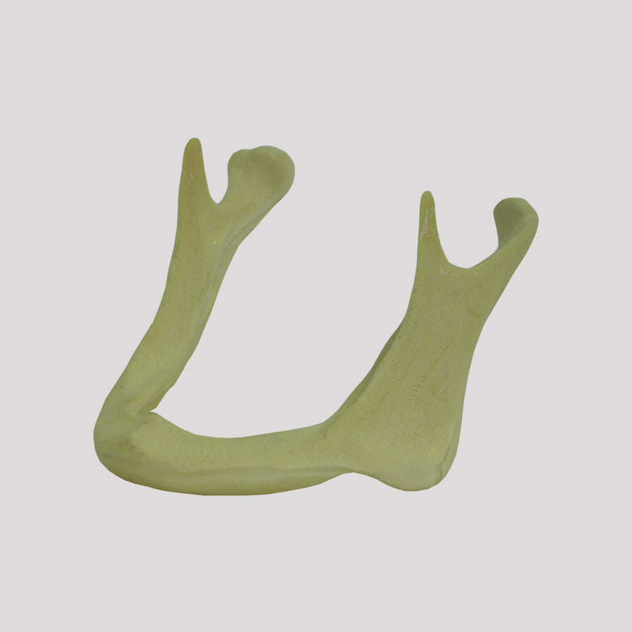 4010 AT - 04 - ATROPHIC EDENTULOUS MANDIBLE CLASS 4 (06MM)