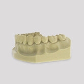 4036 I - ARTICULATED BASIC DUMMY JAW