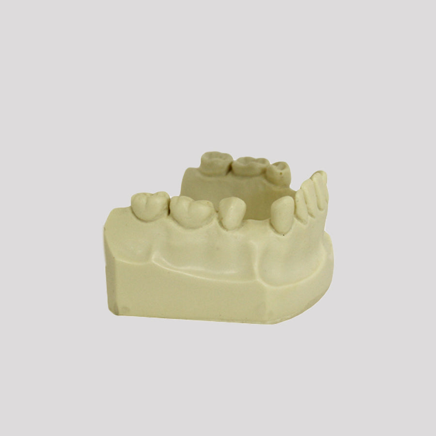 4038 I - MANDIBLE OF THE ARTICULATED MODEL WITH MALOCCLUSION