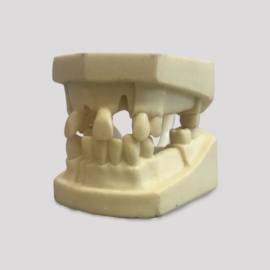 4049 - ARTICULATED BASIC MODEL