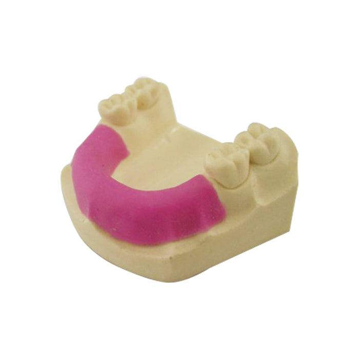 4202 - MANDIBLE WITH PARTIAL GUM