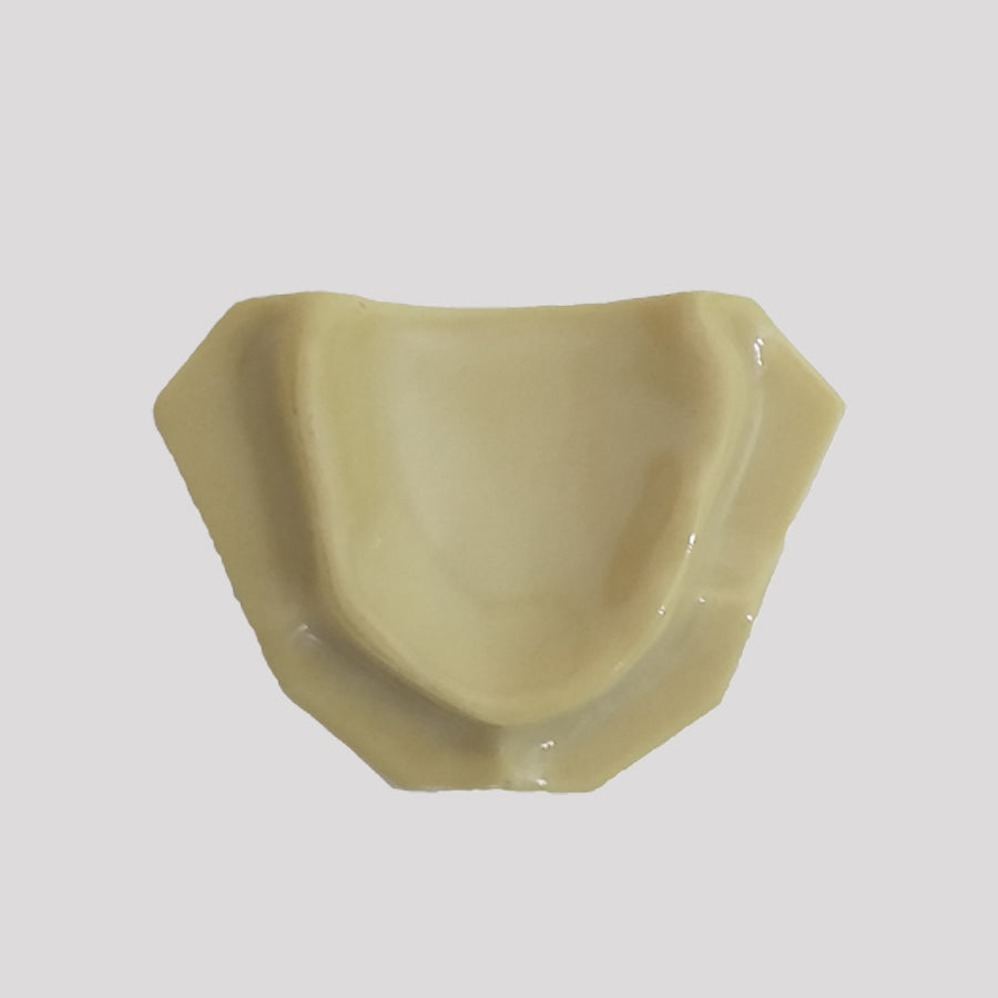 12313 - RADIOPAQUE EDENTULOUS MAXILLA