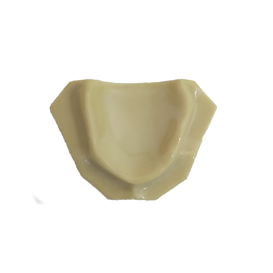 12313 - RADIOPAQUE EDENTULOUS MAXILLA