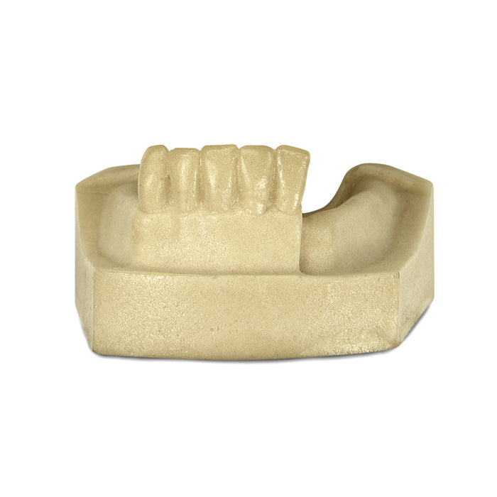 4702 – MANDIBLE WITH MISSING TEETH - SET 2