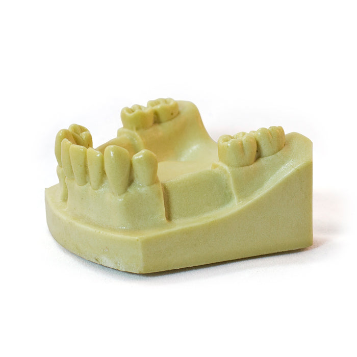 4703 – MANDIBLE WITH MISSING TEETH - SET 3