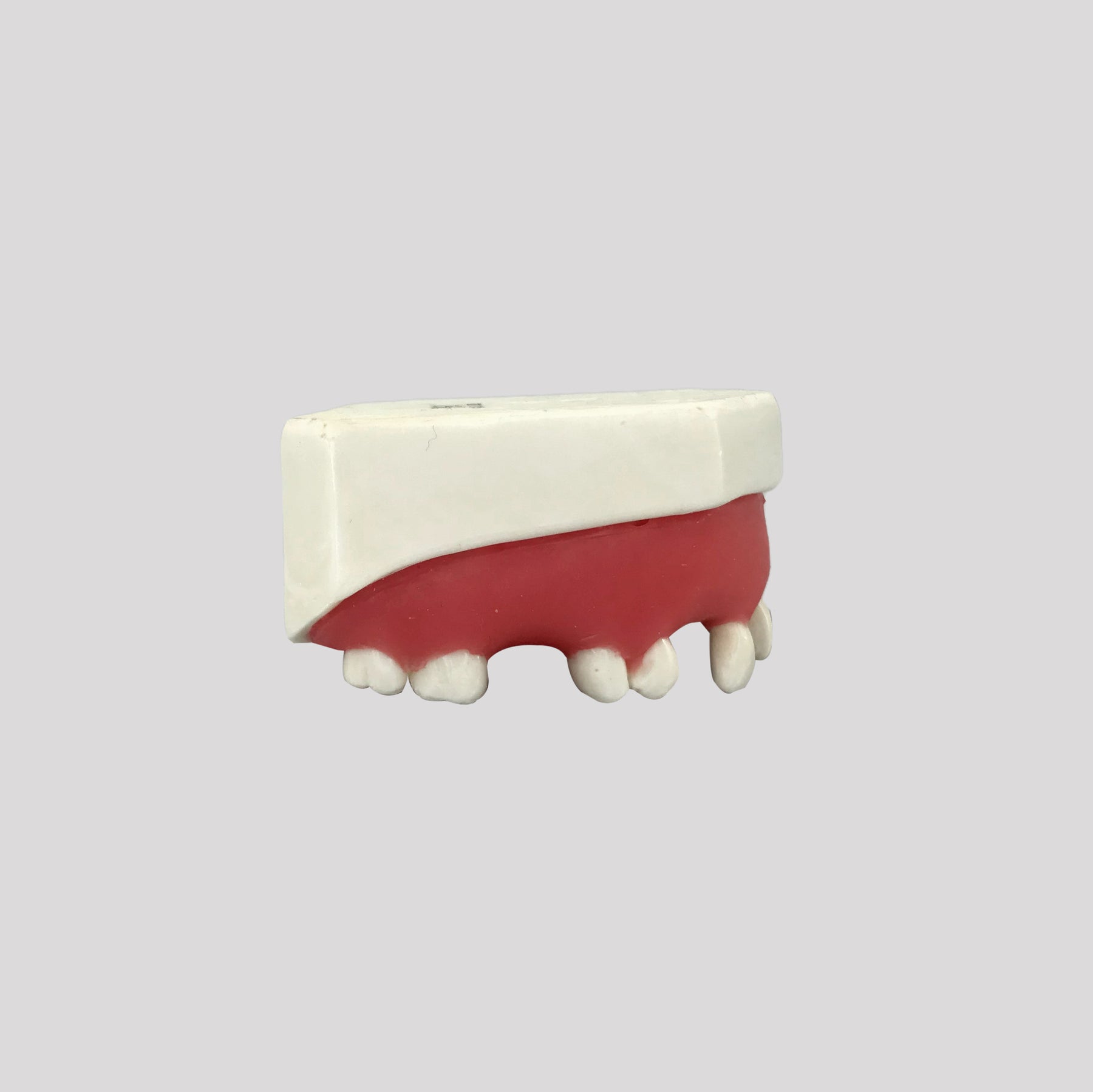 4802G - MAXILLA WITH MISSING TEETH  AND GUM - SET 2