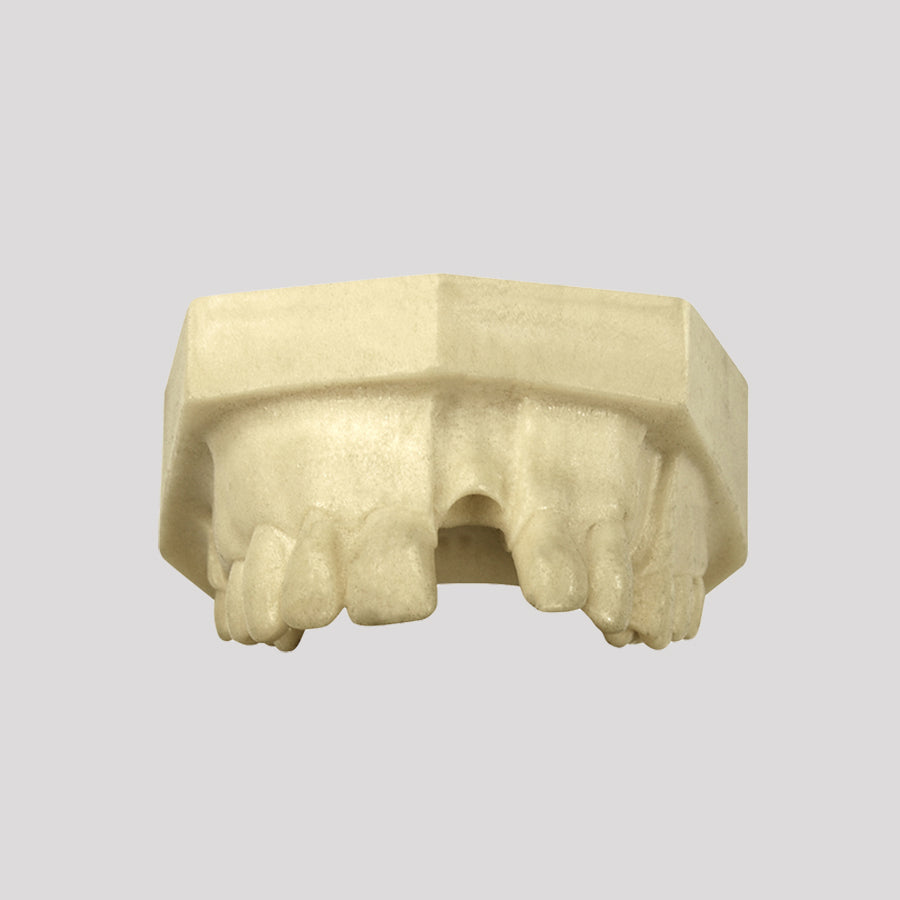 12307 - RADIOPAQUE MAXILLA WITH MISSING TEETH - SET 3