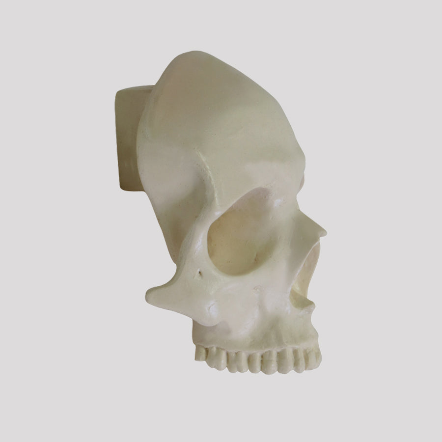 12265 - RADIOPAQUE ORBITAL SKULL WITH SUPPORT BLOCK